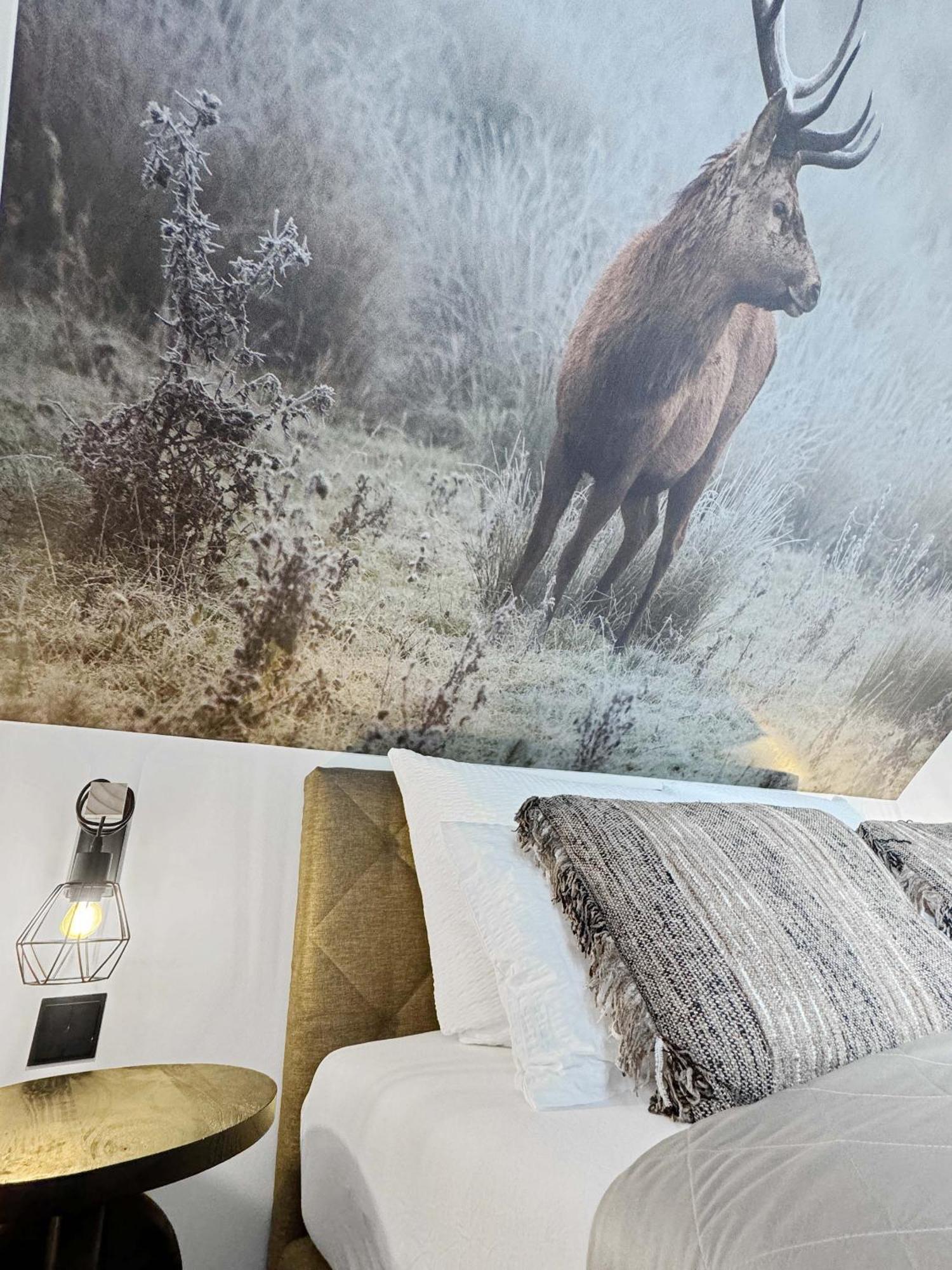 Cblue: Seeblick, Kamin, Wallbox, Natur Bentwisch Eksteriør billede