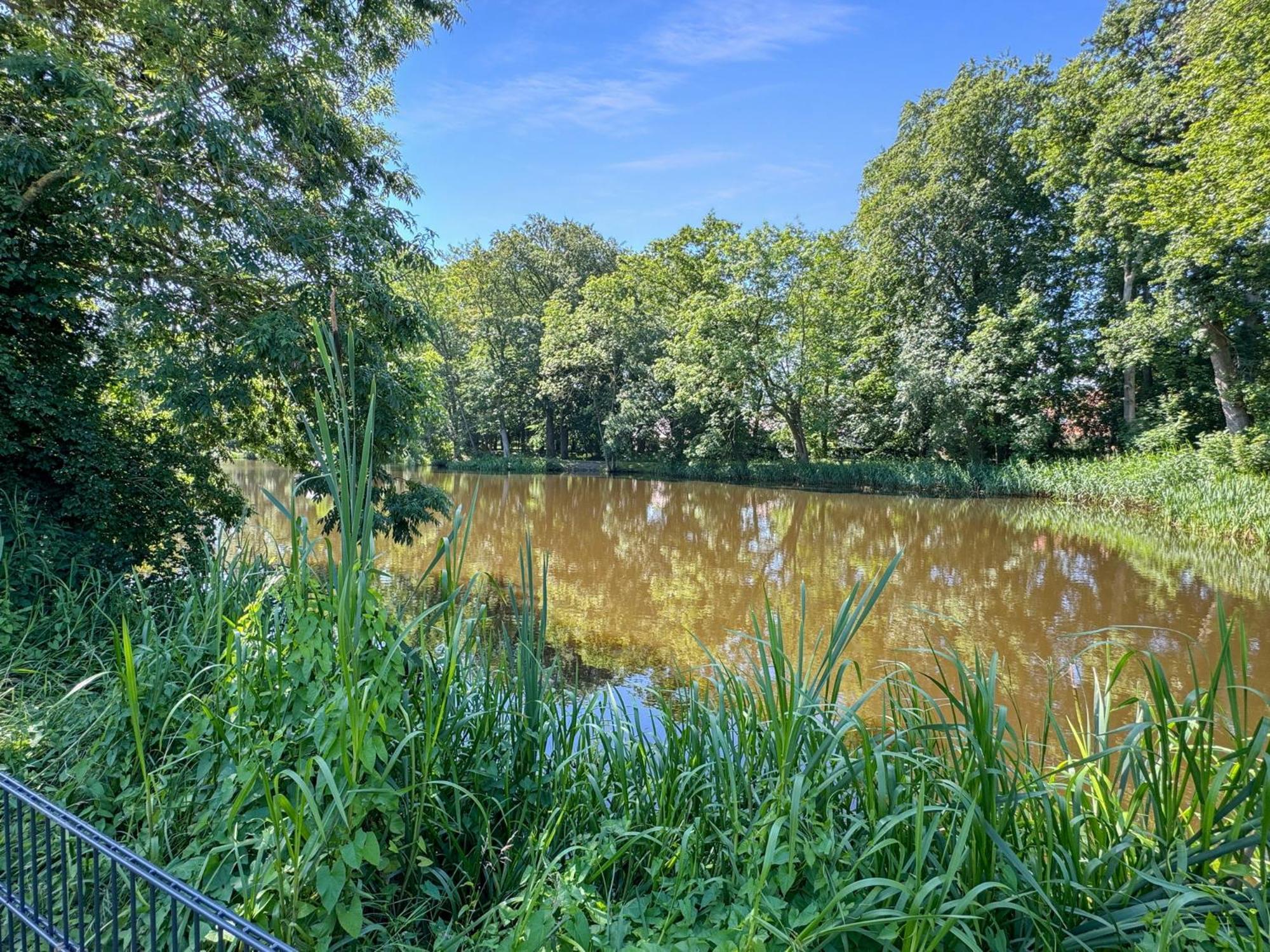 Cblue: Seeblick, Kamin, Wallbox, Natur Bentwisch Eksteriør billede
